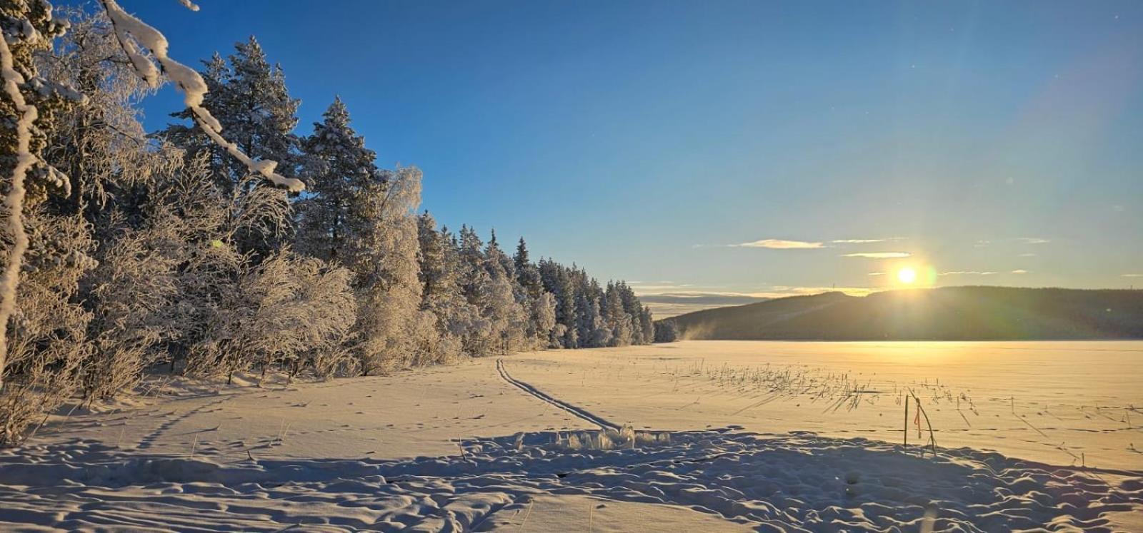 Lakeside Wilderness Cabin Йоккмокк Екстер'єр фото
