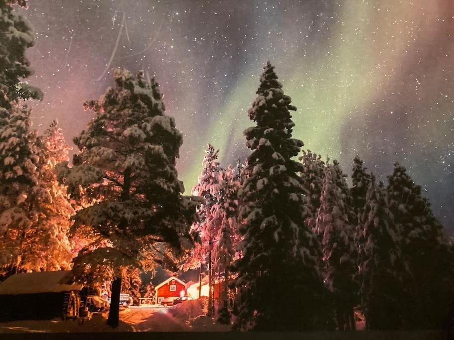 Lakeside Wilderness Cabin Йоккмокк Екстер'єр фото
