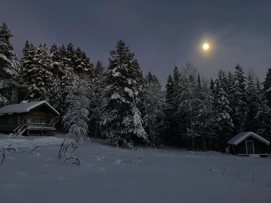 Lakeside Wilderness Cabin Йоккмокк Екстер'єр фото