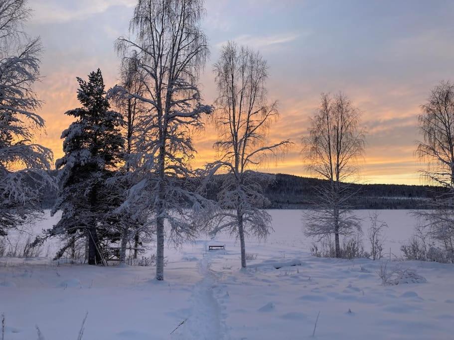 Lakeside Wilderness Cabin Йоккмокк Екстер'єр фото